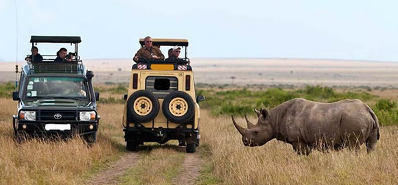Lake Nakuru Safari
